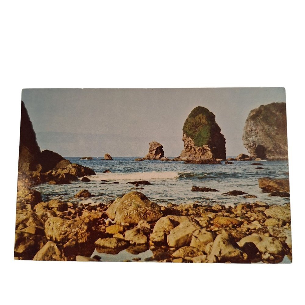 Oregon Coast Scenic Seascape Chrome Postcard Unposted